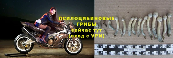 героин Алексин
