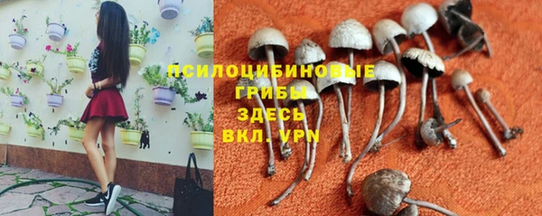 мескалин Алексеевка