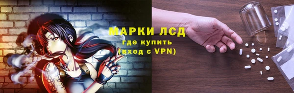 apvp Алзамай